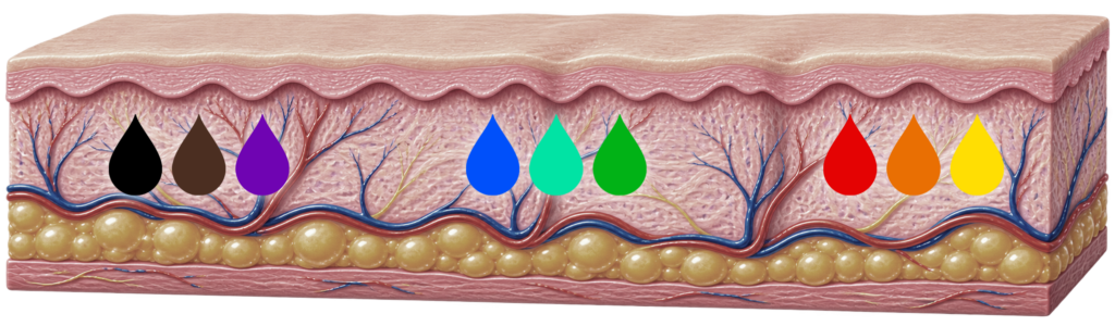 Illustration of skin layers with different tattoo pigment colors grouped by laser wavelength.
